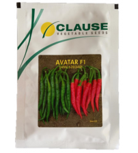 Chilli / Hot Pepper Avatar
